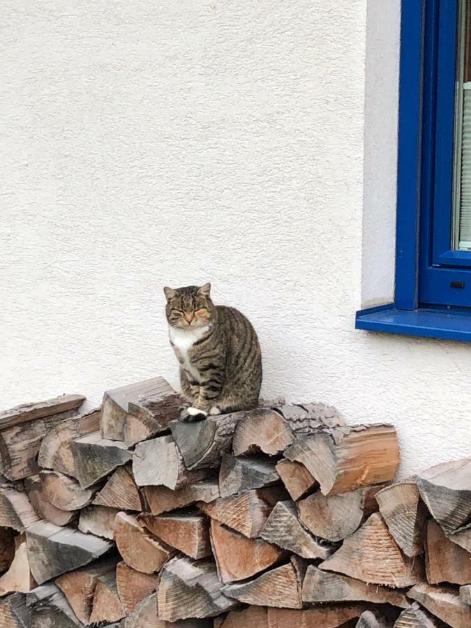 Haus Sonnenweg Villa Mariapfarr Kültér fotó
